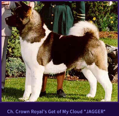 CH. Crown Royal's Get Off My Cloud